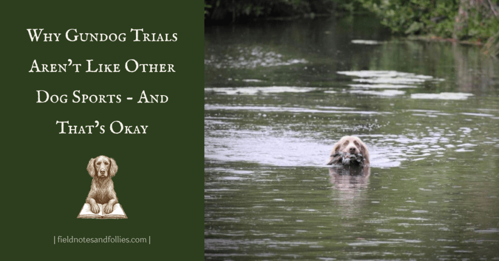 Dog swimming with a bird in it's mouth