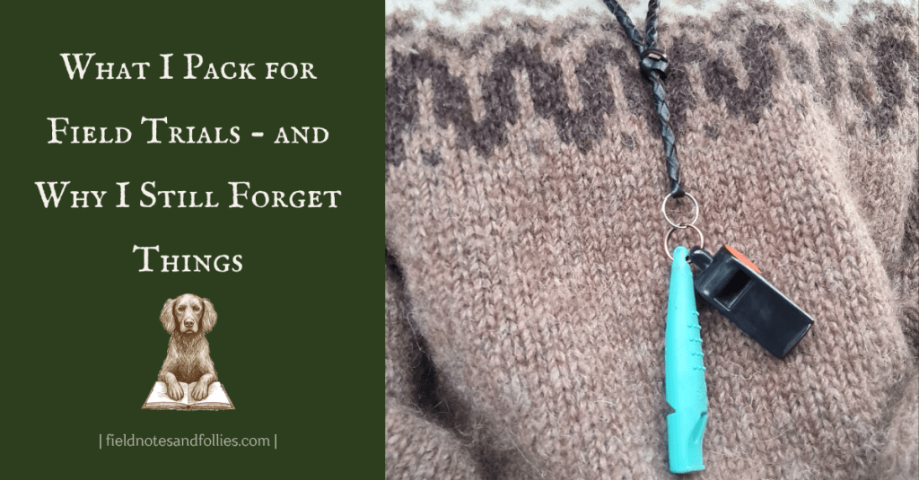 Gundog whistles on leather lanyard over woollen jumper.