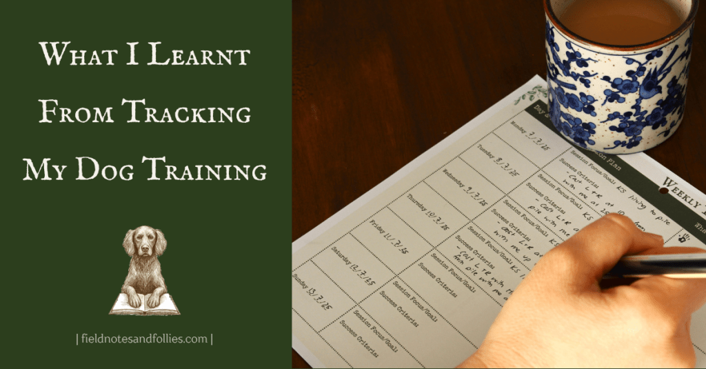 Writing notes into new planning template