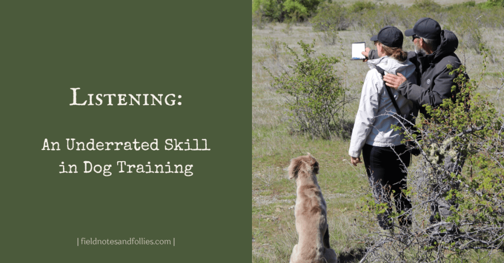 Dog, handler and judge in field.