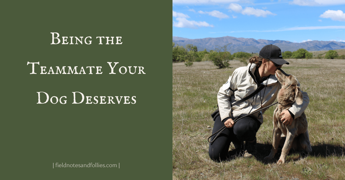 Being the Teammate Your Dog&nbsp;Deserves