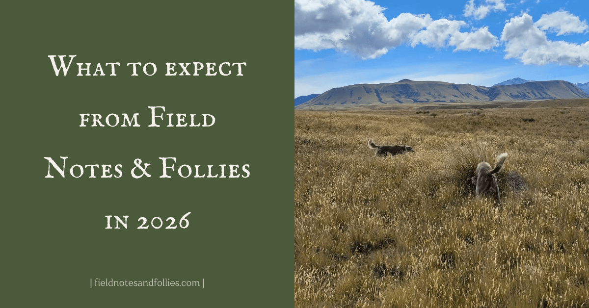 What to Expect From Field Notes & Follies in&nbsp;2026