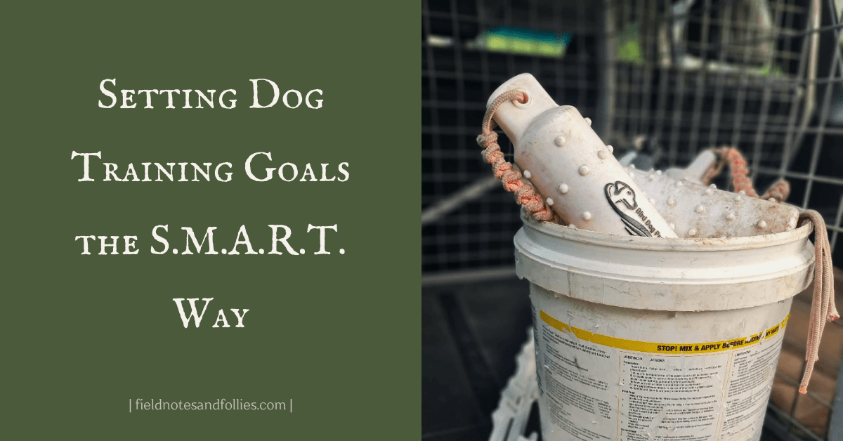 Setting Dog Training Goals the S.M.A.R.T.&nbsp;Way