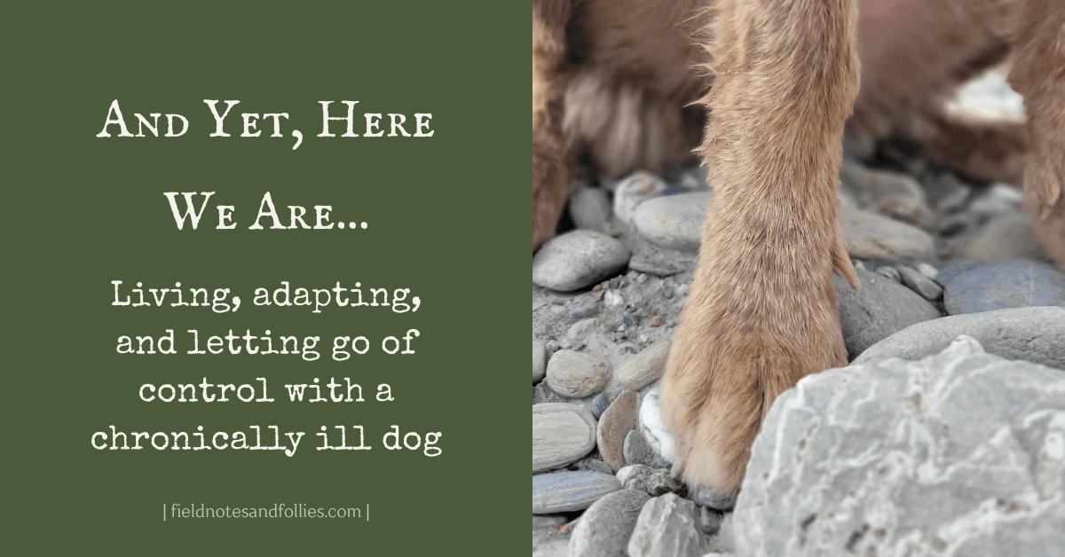 And Yet, Here We&nbsp;Are…