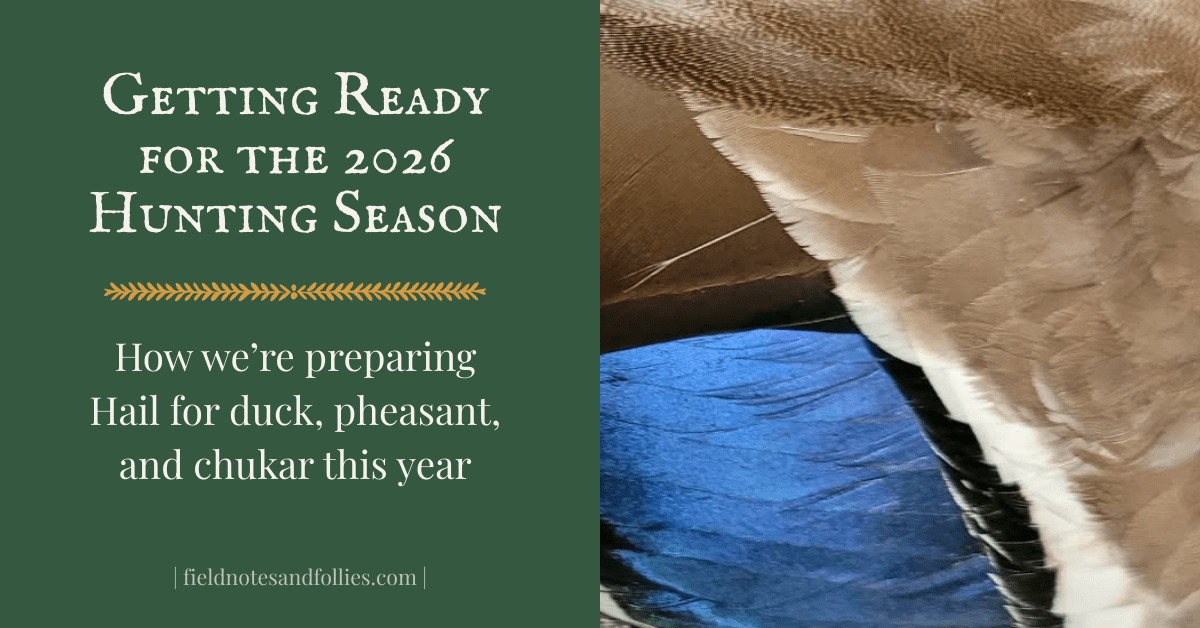 Getting Ready for the 2026 Hunting&nbsp;Season