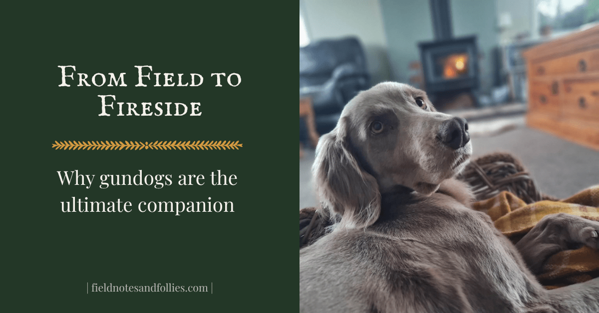 From Field to&nbsp;Fireside