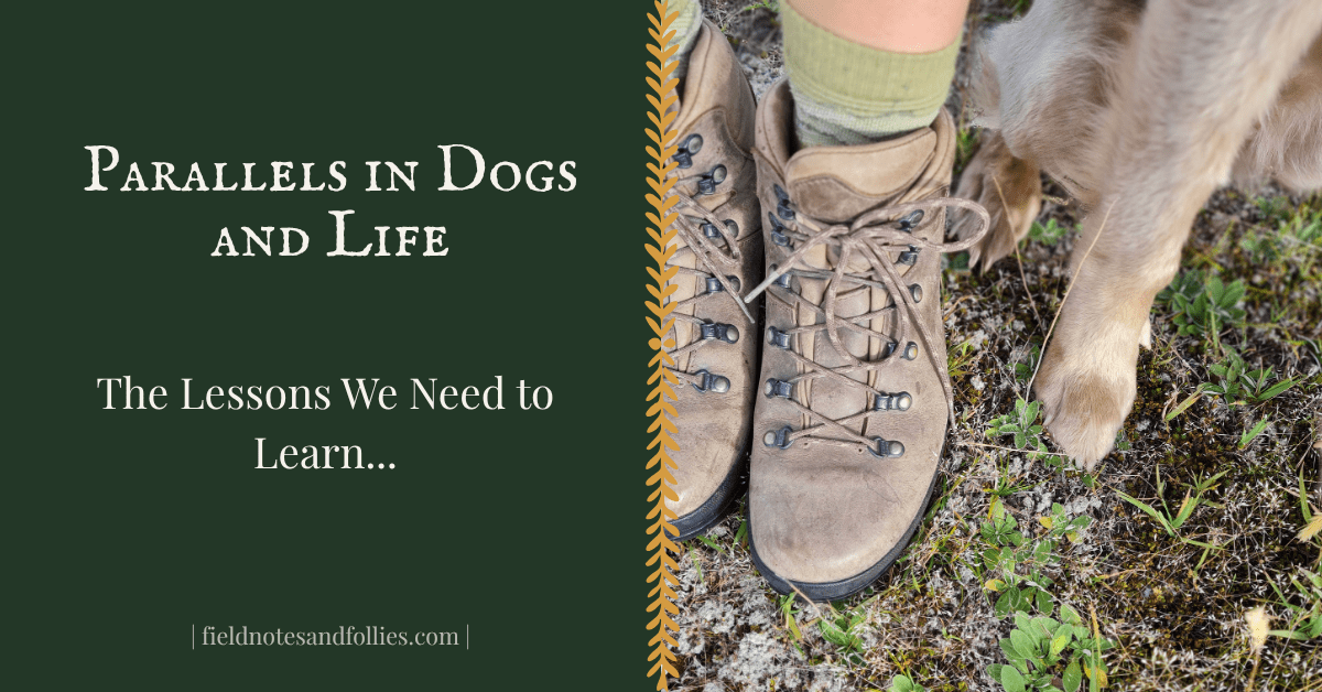 Parallels in Dogs and&nbsp;Life